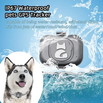 Pet GPS Tracker IP67 atsparus Vandeniui Locator Šuo, Katė Galvijų, Arklių, Avių Anti-Lost Prietaiso Mažas Signalo Pet Anti-Theft Prietaisas Apykaklė