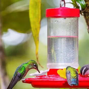 2022 Nauja Hummingbird Feeder Pakeitimo Hummingbird Feeder Pakeitimo Gėlės Šėrimo Uostuose